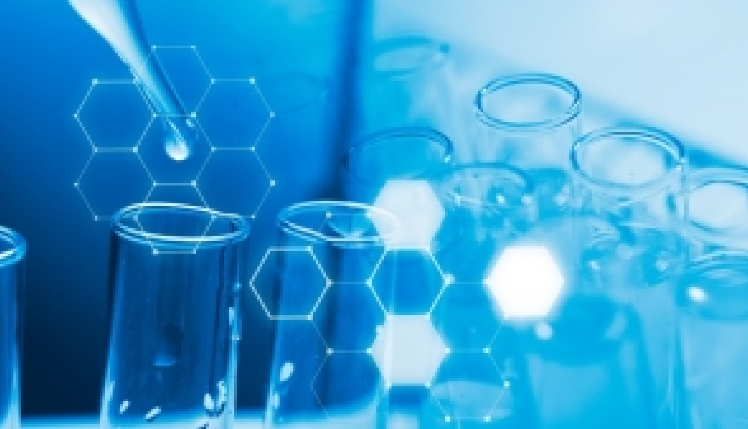 Radīta IMI2 virtuāla partneru platforma