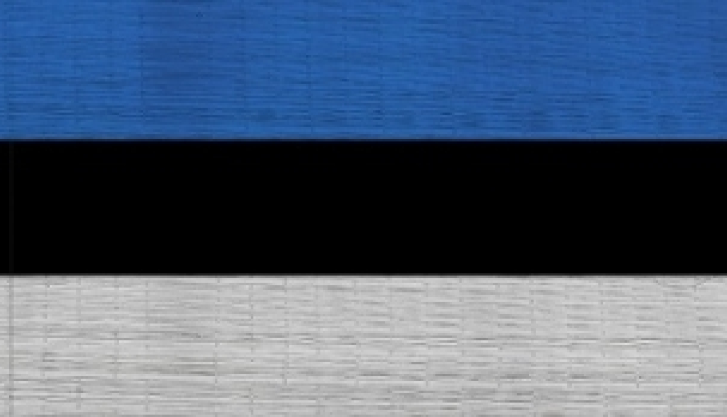 Iespēja pieteikties Igaunijas valdības stipendijām