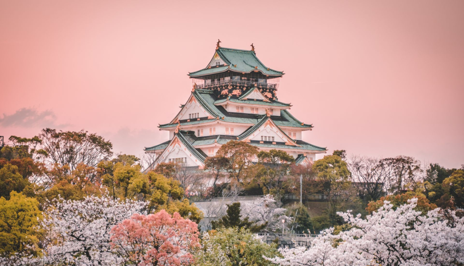 skats uz Japānas dabu un ēkām, rozā debesis fonā, priekšā ziedošas sakuras