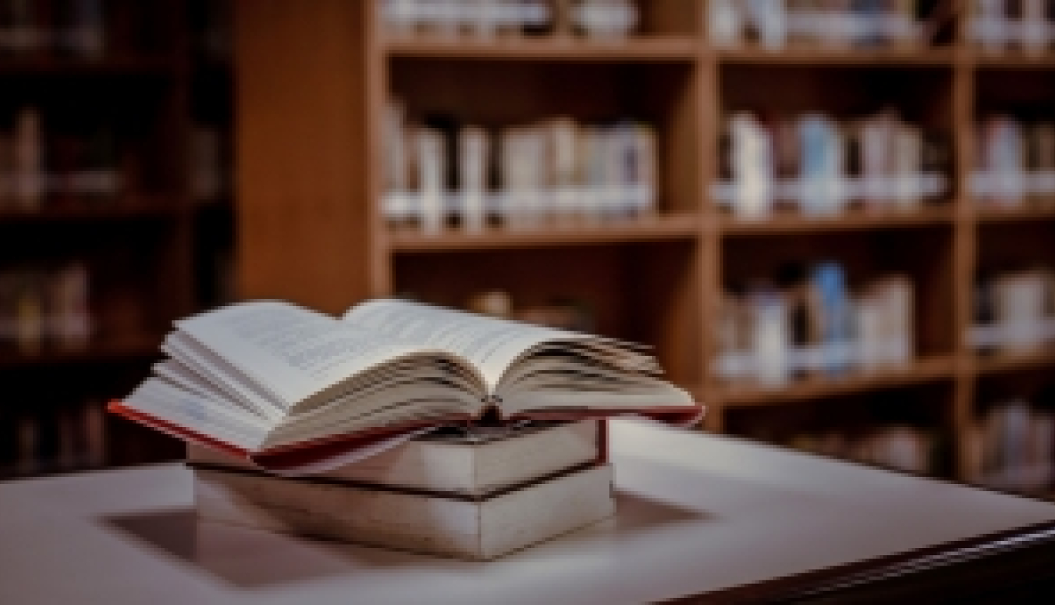 NESET tīkls organizē vebinārus par valodu apmācību un bilingvāliem modeļiem