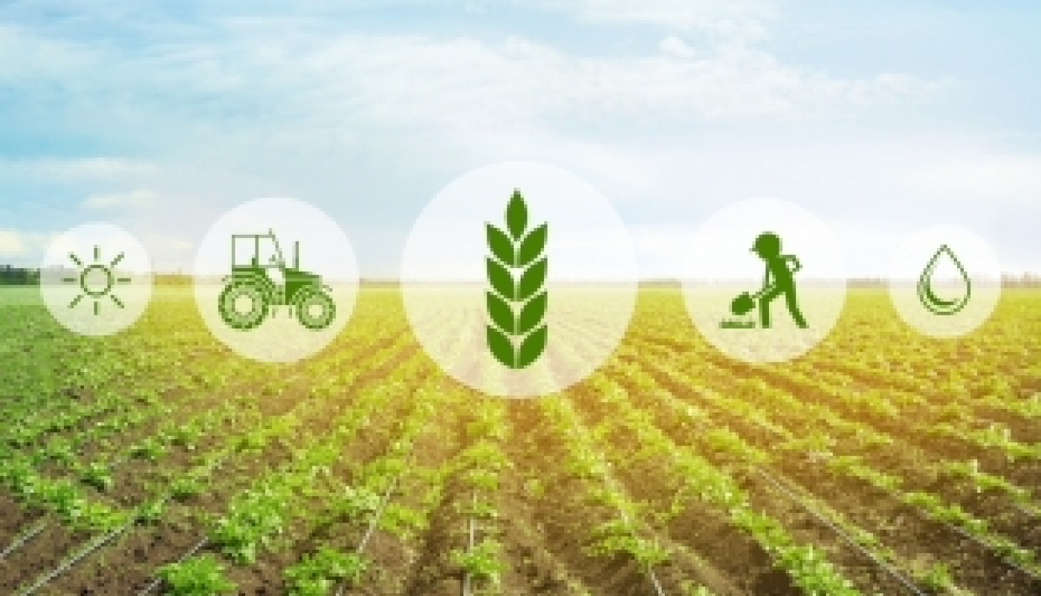 Noskaidros labākos jaunos profesionāļus lauksaimniecībā