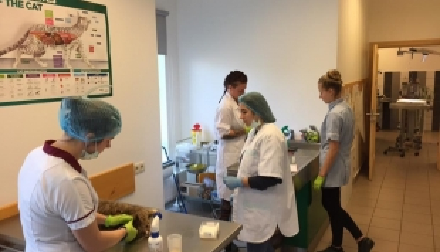 Smiltenes tehnikums izstrādā inovatīvas mācību metodes veterinārā izglītībā