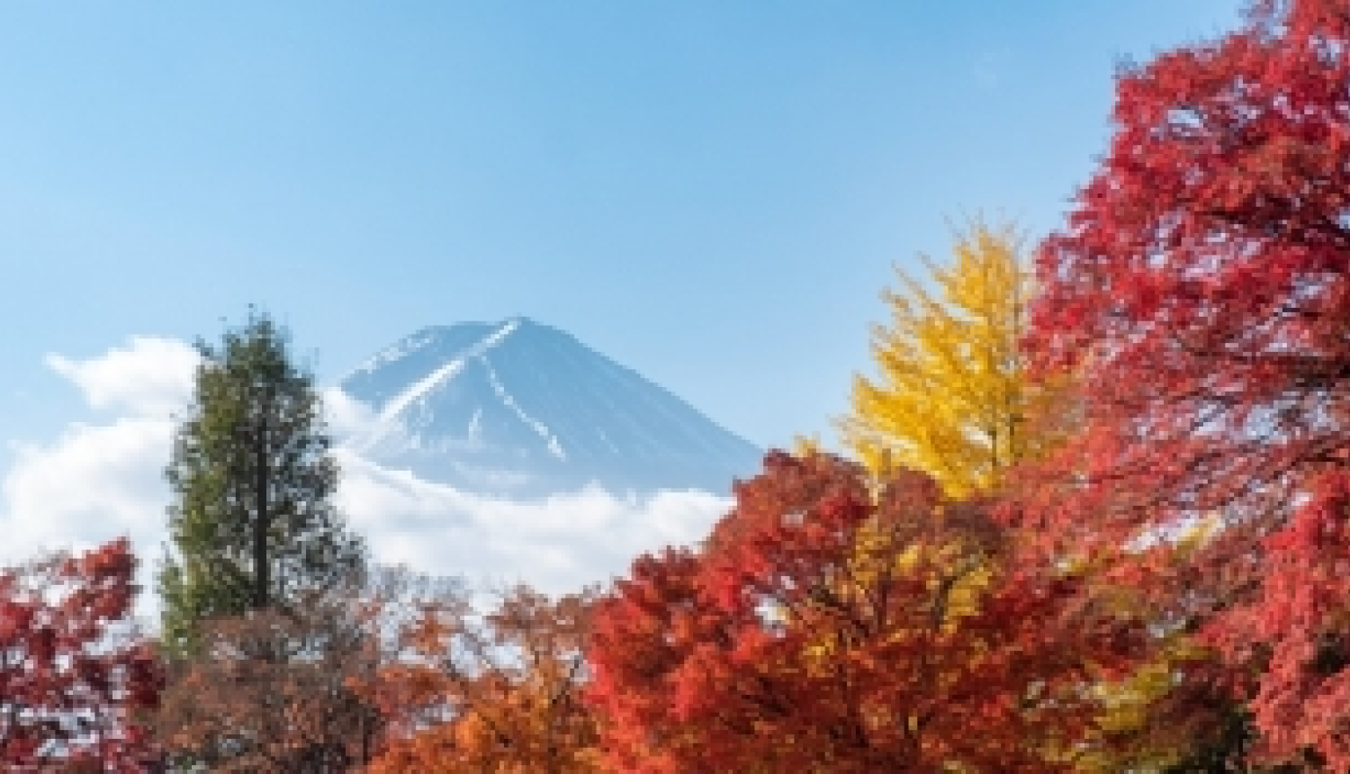 Japānas valdība piedāvā stipendijas studijām un pētniecībai