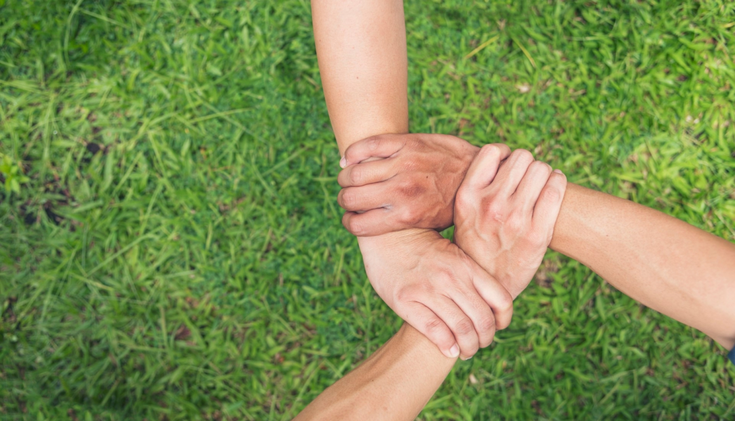 rokas satver viena otru fonā zaļa zāle