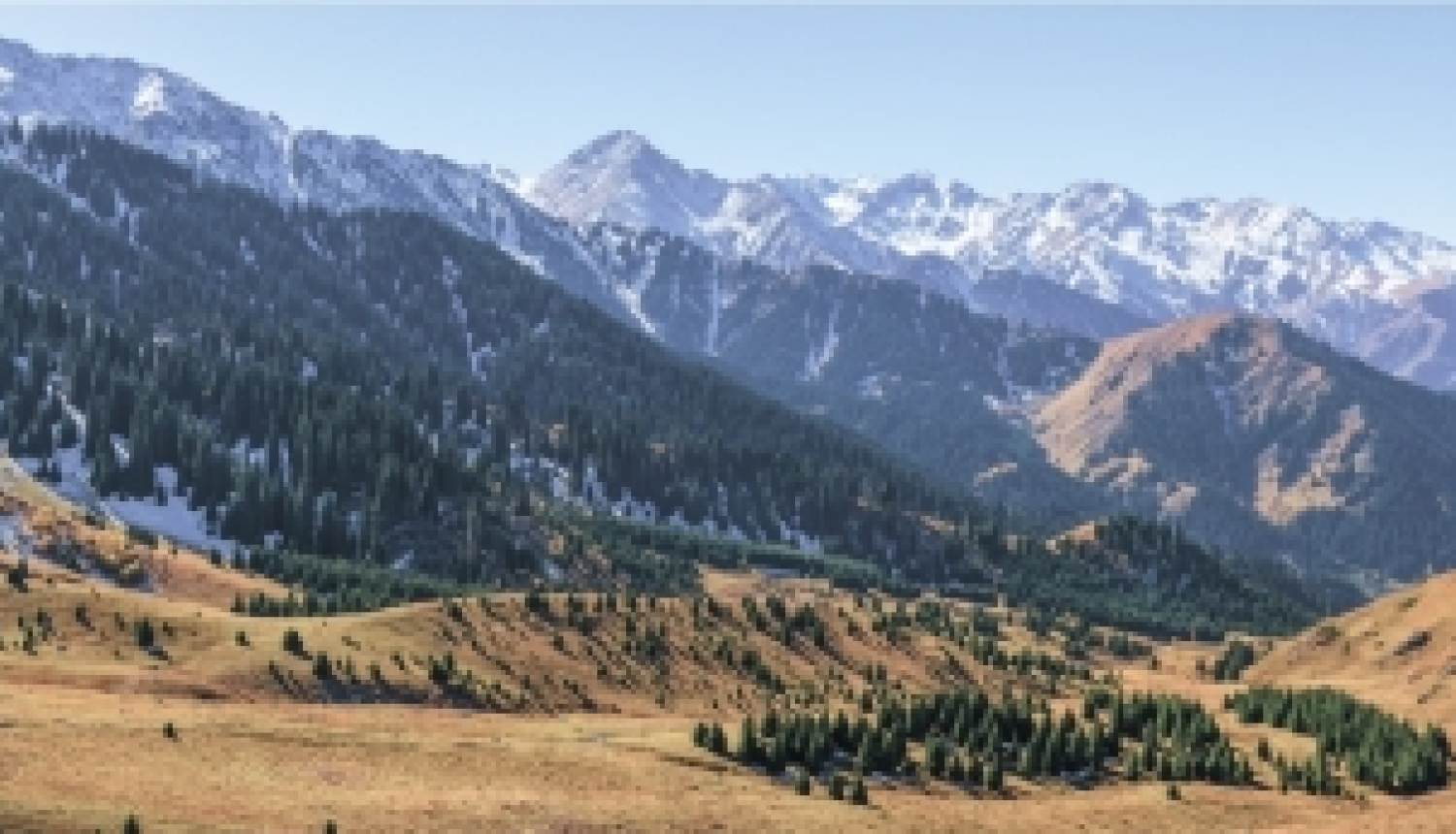 Kazahstānas valdība piedāvā stipendijas studijām