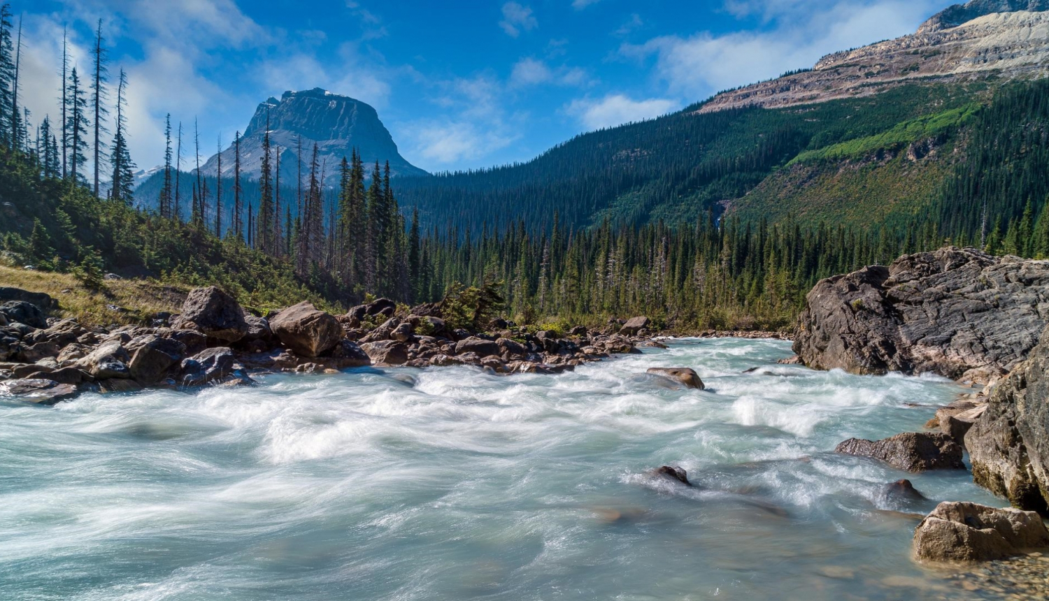 Kolumbija stipendija