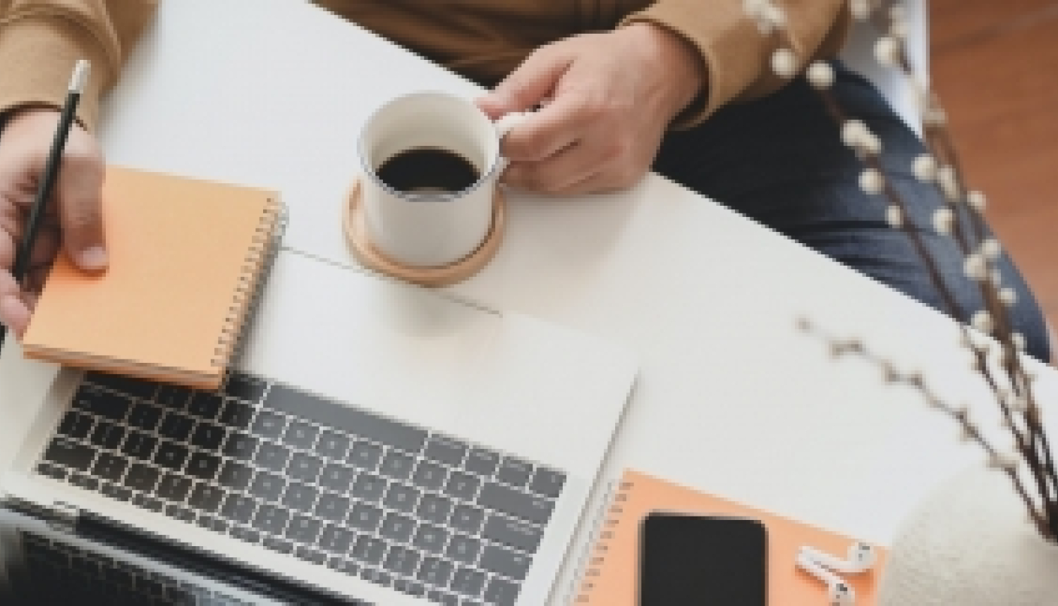 Rīkos papildu vebināru Baltijas Pētniecības programmas konkursa projektu iesniedzējiem