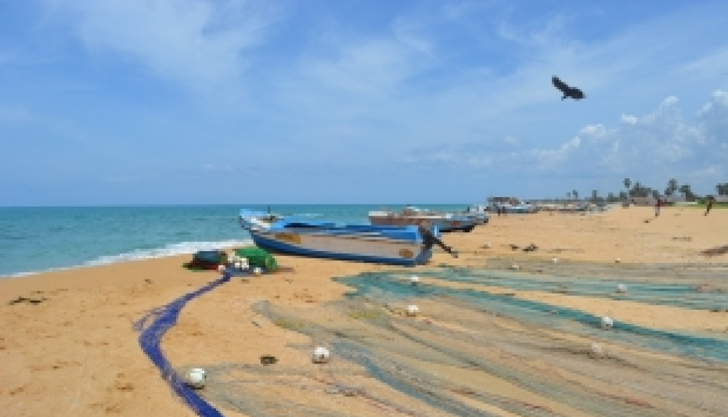 Šrilankas valdības stipendijas bakalaura studijām Šrilankā