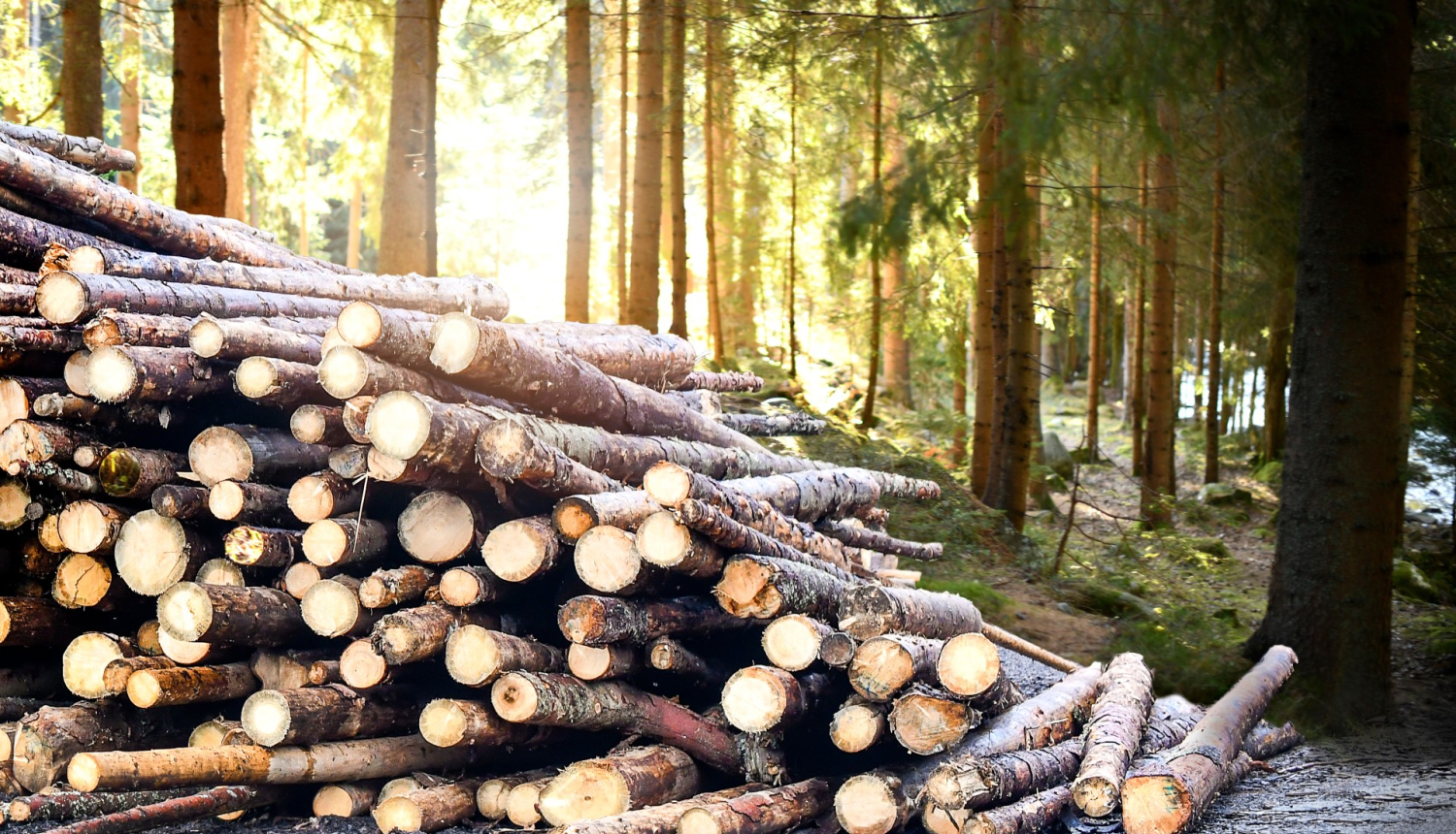 Stunda nozare_meza_apstrade