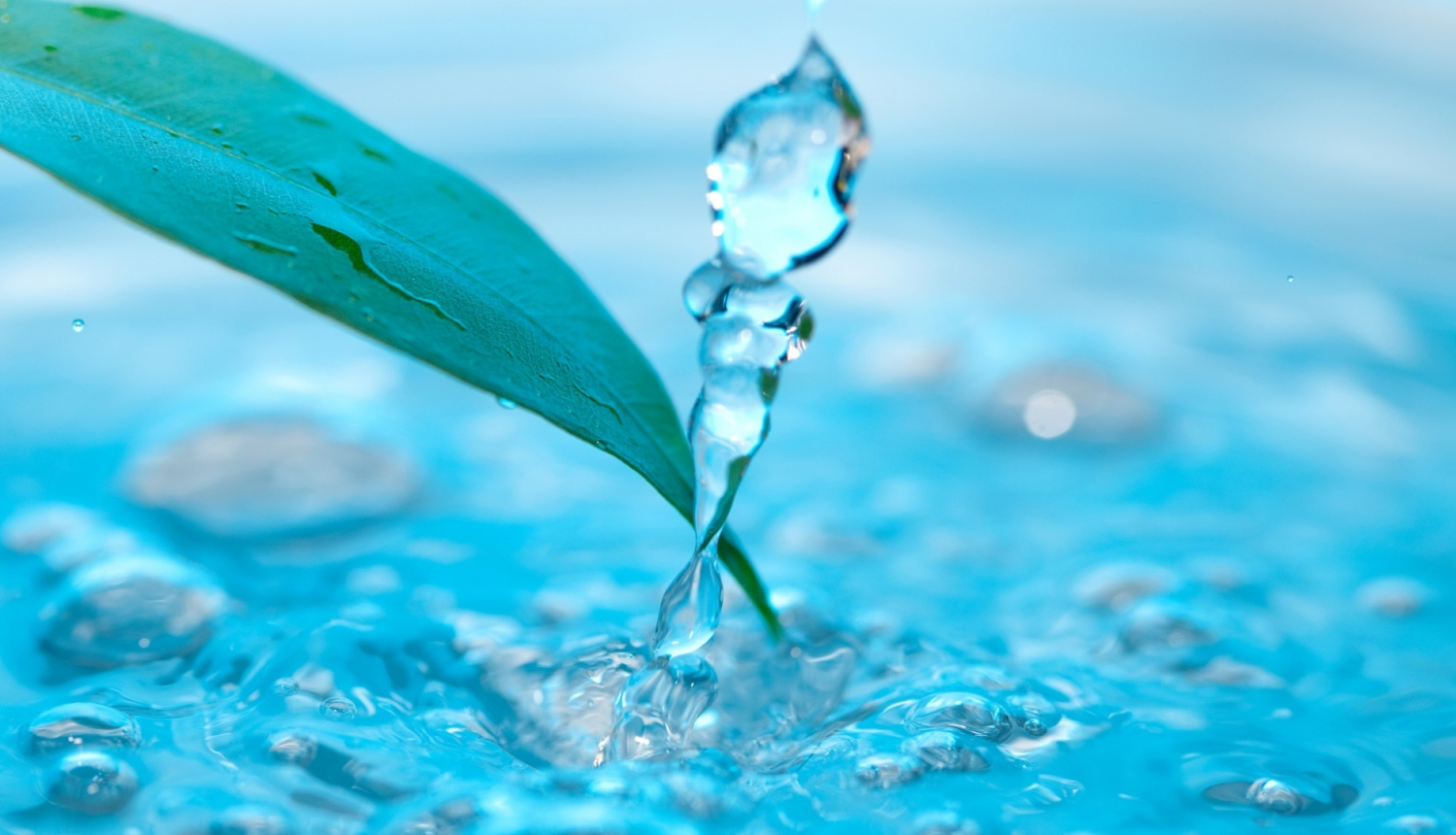 liela ūdens pile pil lielākā ūdens tilpnē blakus ir zaļa lapiņa