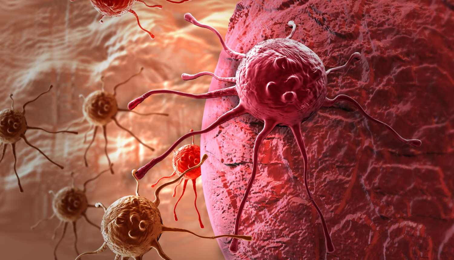 Transcan konkurss veza sunas