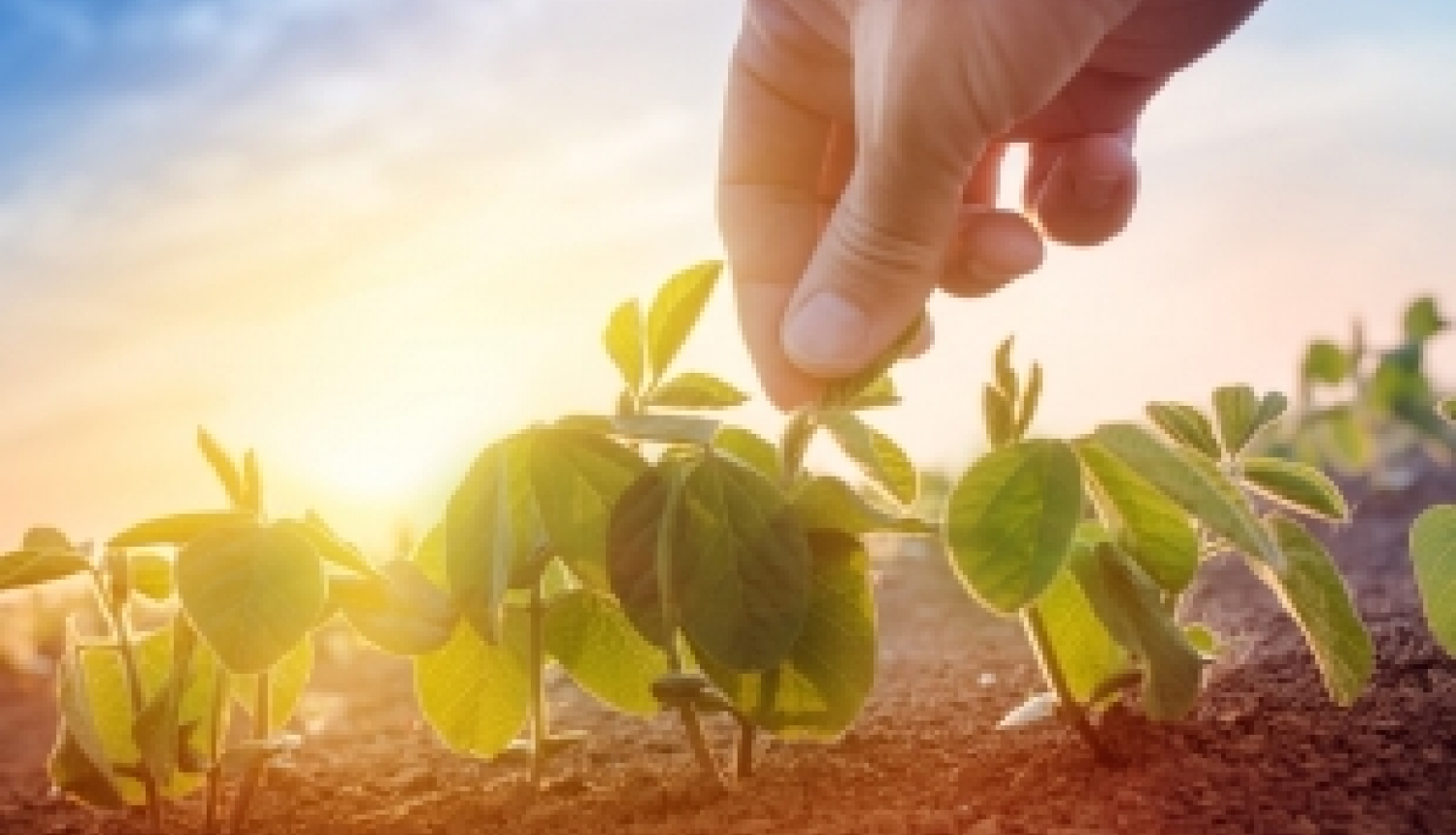 Briselē notiks Apvārsnis 2020 informācijas dienas par klimatu, vidi un resursiem
