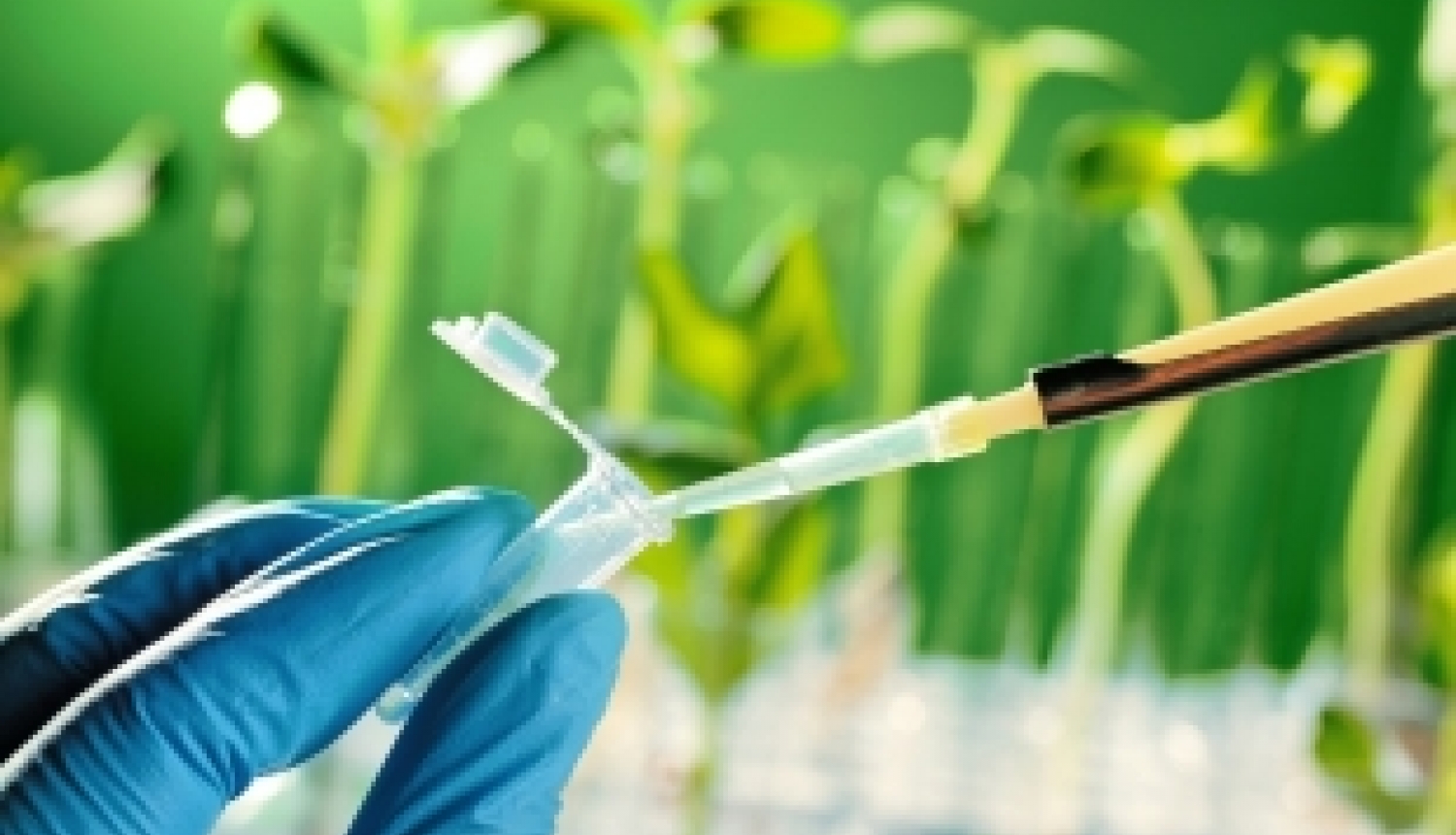 Izsludināts otrais ERA CoBioTech pētniecības projektu konkurss biotehnoloģijas jomā