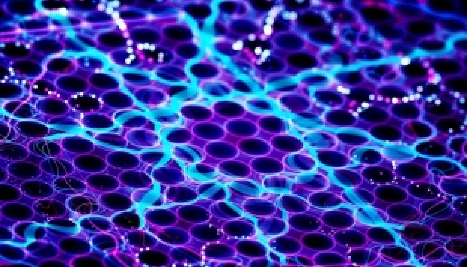 Izsludināts jauns konkurss ERA-NET NEURON smadzeņu slimību un nervu sistēmas saslimšanu jomā