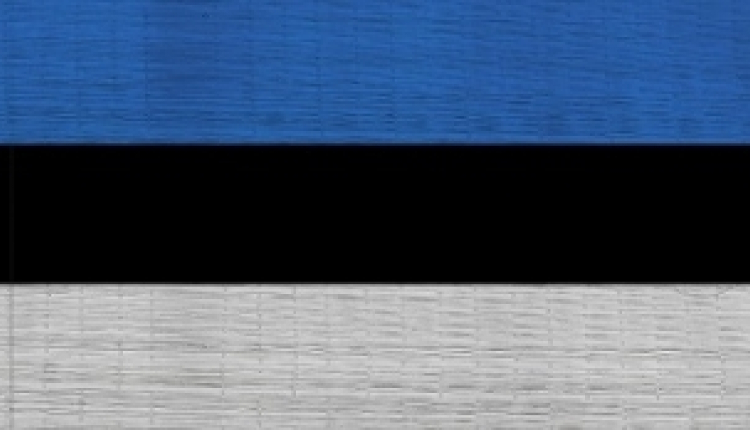 Iespēja pieteikties Igaunijas valdības stipendijām