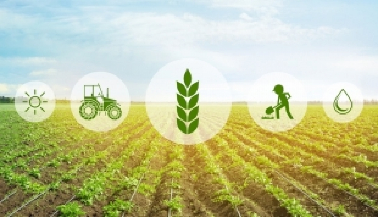 Noskaidros labākos jaunos profesionāļus lauksaimniecībā