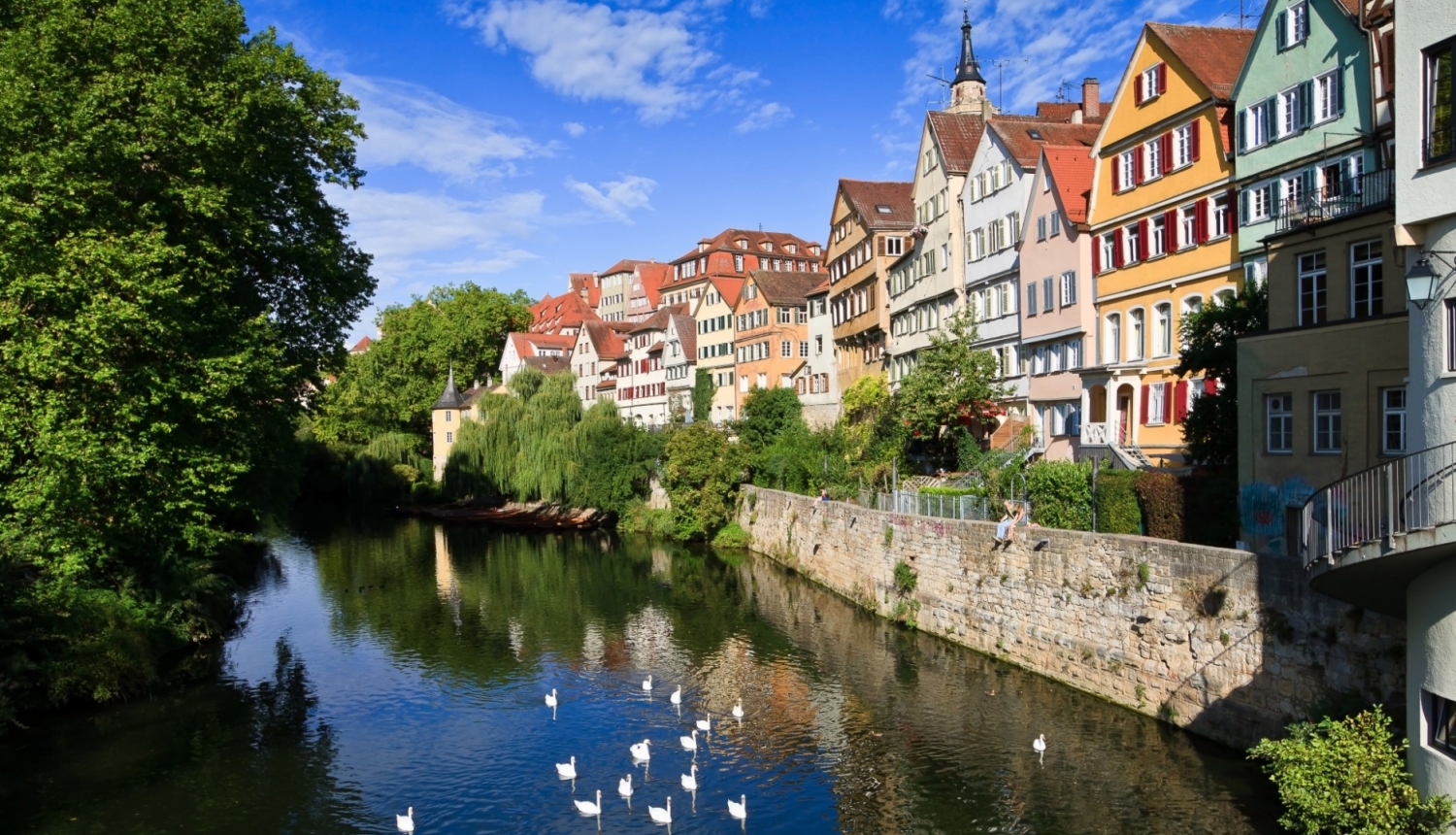 skats uz Vācijas pilsētu priekšplānā upe ar pīlēm